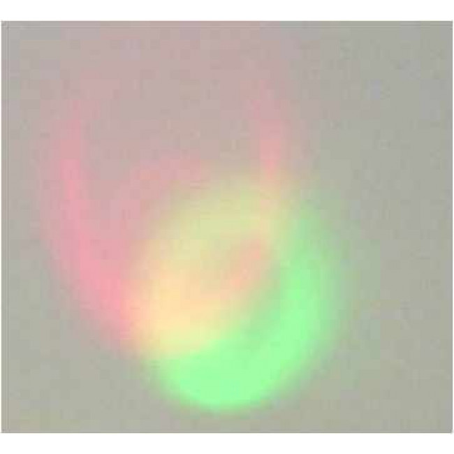 LED 5mm RGB ΤΡΙΧΡΩΜΟ