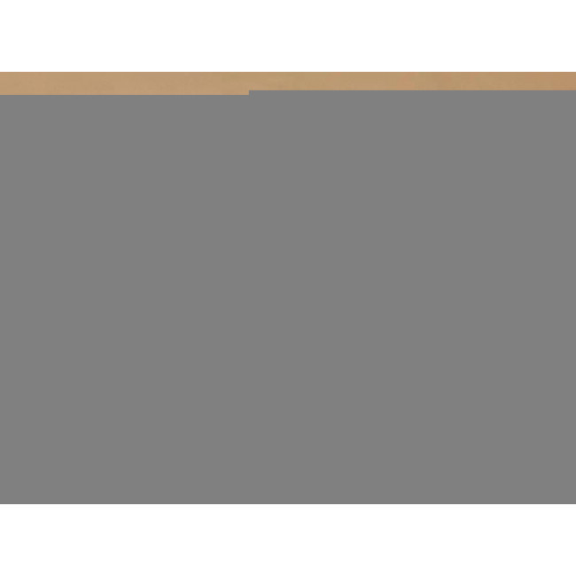 11T, 13T  ASTATIC ΠΑΛΑΙΟΥ ΤΥΠΟΥ OEM ΒΕΛΟΝΑ ΠΙΚΑΠ (481)