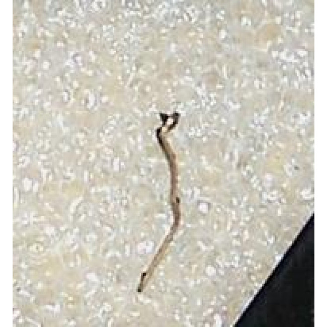 P 73 SHURE ΠΑΛΑΙΟΥ ΤΥΠΟΥ OEM ΒΕΛΟΝΑ ΠΙΚΑΠ (359)