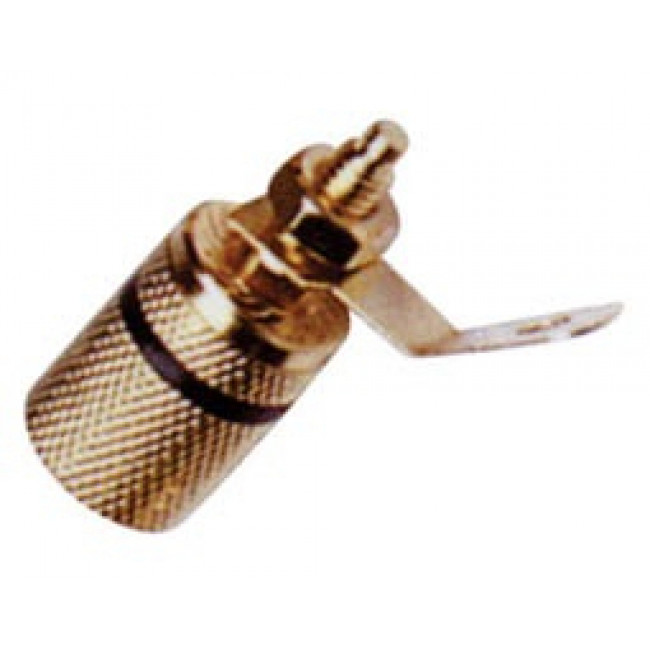 MΠΟΡΝΑ ΕΠΙΧΡΥΣΗ ΚΟΝΤΗ ΜΑΥΡΗ