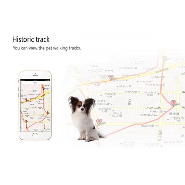 IT 043 GPS TRACKER ΜΕ ΚΟΛΑΡΟ ΓΙΑ ΚΑΤΟΙΚΙΔΙΑ IP67 INTIME