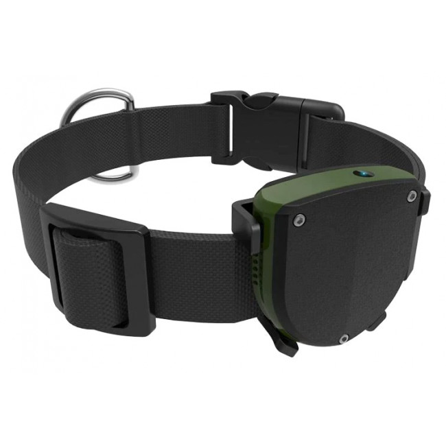 IT 043 GPS TRACKER ΜΕ ΚΟΛΑΡΟ ΓΙΑ ΚΑΤΟΙΚΙΔΙΑ IP67 INTIME