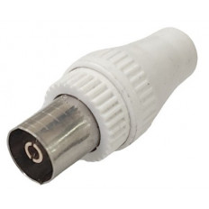 ΦΙΣ TV ΘΗΛΥΚΟ