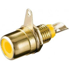 ΦΙΣ RCA ΘΗΛYΚΟ ΣΑΣΣΙ ΕΠΙΧΡΥΣΟ ΚΙΤΡΙΝΟ ΜΙΚΡΟ