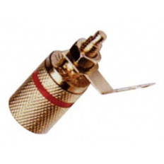 MΠΟΡΝΑ ΕΠΙΧΡΥΣΗ ΚΟΝΤΗ ΚΟΚΚΙΝΗ