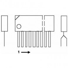 STK 407 070 IC